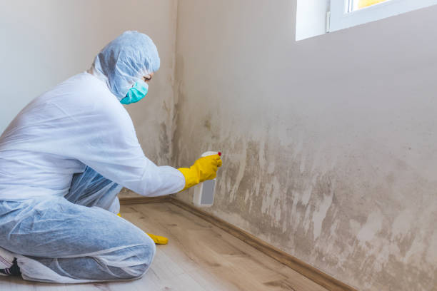 Hvac And Air Duct Mold Remediation inspection of HVAC system in Montvale