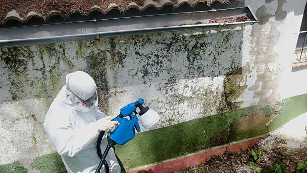 Mold Remediation service in Montvale, Montvale, NJ